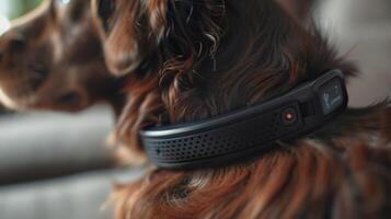 In the next image we see a smart pet collar with a beautiful patterned s and a touchsensitive digital display. The display shows realtime information such as the pets location temperatur photo