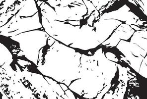 Good Grunge texture of stone vector