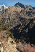 Group of tour trekkers with guide trek to EBC viewpoint in Sagarmatha national park. EBC trekking. Everest base camp trekking in fall, autumn in sunny weather. photo