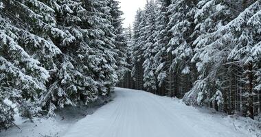 Misty Sunset on the Snowy Mountains aerial drone point of view Forests cross country paths in pine trees winter with fresh country road. video