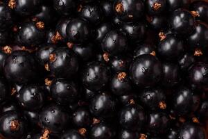 Ripe blackcurrant berries in droplets of water in a ceramic bowl photo
