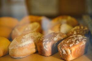 Freshly baked bread on bakery shelves. Bread diversity in bright light. Breads with a golden crust on wooden shelves photo