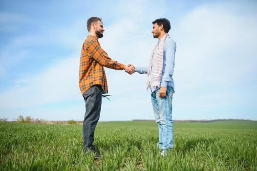 Indian and European farmers stand in a field of green wheat photo