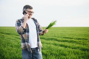 Experienced and confident farmer on his field. Portrait of senior farmer agronomist in wheat field. photo