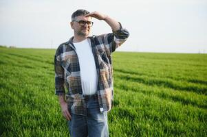A young farmer inspects the quality of wheat sprouts in the field. The concept of agriculture. photo