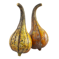 Two Gourds On A Transparent Background. png