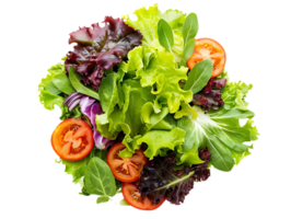 Fresh Green Salad with Tomatoes, Lettuce, and Spinach - Photo png