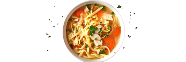 Chicken Noodle Soup in a White Bowl with Parsley and Carrots - Photo png