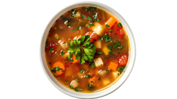 Overhead View of a Bowl of Vegetable Soup with Parsley png