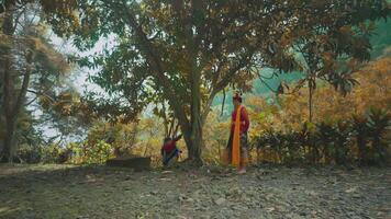 Cultural activity under a tree in a forest video