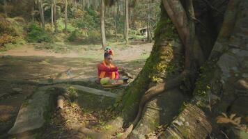 Person in traditional attire preparing food under a tree video