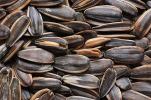 Sunflower seeds pattern texture background photo