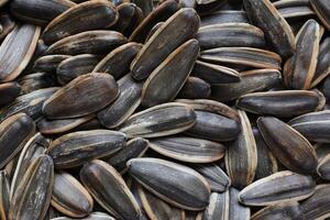 Sunflower seeds pattern texture background photo