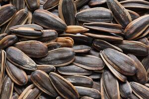 Sunflower seeds pattern texture background photo