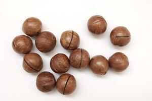 Macadamia nuts seeds background photo