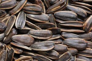 Sunflower seeds pattern texture background photo