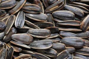 Sunflower seeds pattern texture background photo