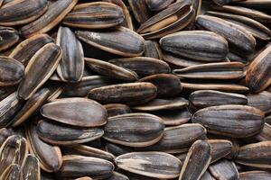 Sunflower seeds pattern texture background photo