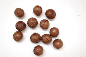 Macadamia nuts seeds background photo