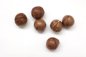 Macadamia nuts seeds background photo
