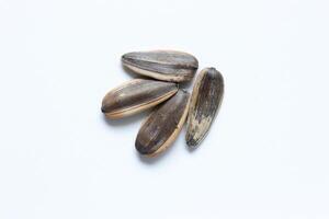 Sunflower seeds isolated on white background photo