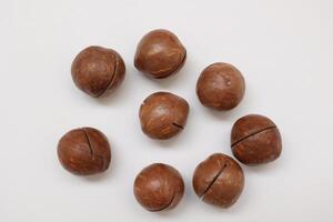 Macadamia nuts seeds background photo