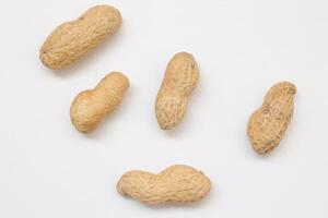 Peanut on white background photo