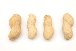 Peanut on white background photo