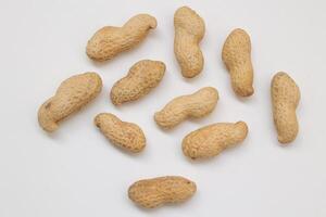 Peanut on white background photo