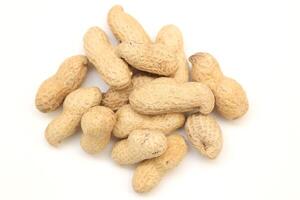 Peanut on white background photo