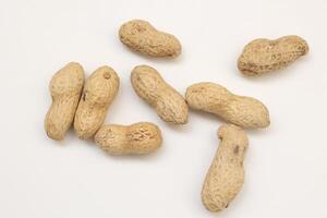 Peanut on white background photo