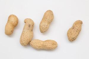 Peanut on white background photo