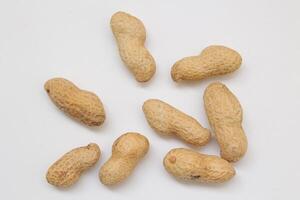 Peanut on white background photo