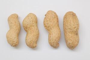 Peanut on white background photo