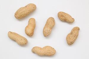 Peanut on white background photo