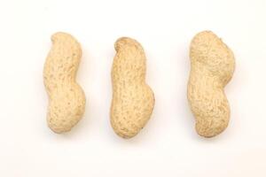 Peanut on white background photo