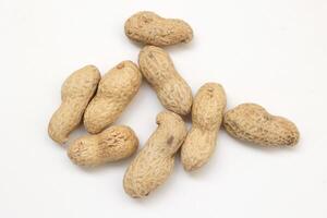 Peanut on white background photo