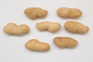 Peanut on white background photo