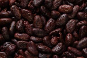 Brown roasted cocoa beans seeds pattern texture background photo