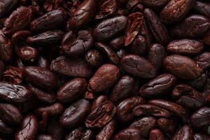 Brown roasted cocoa beans seeds pattern texture background photo