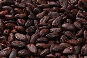 Brown roasted cocoa beans seeds pattern texture background photo