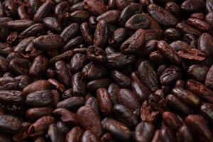 Brown roasted cocoa beans seeds pattern texture background photo