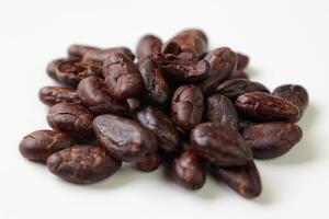 Roasted cocoa beans isolated on white background photo