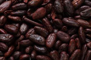 Brown roasted cocoa beans seeds pattern texture background photo