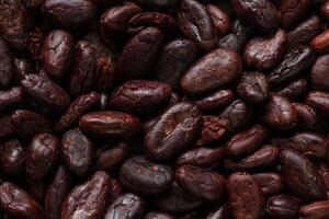 Brown roasted cocoa beans seeds pattern texture background photo