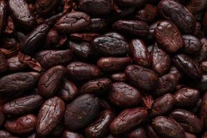 Brown roasted cocoa beans seeds pattern texture background photo