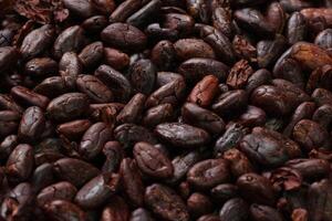 Brown roasted cocoa beans seeds pattern texture background photo