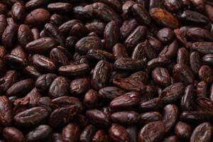 Brown roasted cocoa beans seeds pattern texture background photo