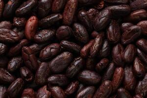 Brown roasted cocoa beans seeds pattern texture background photo
