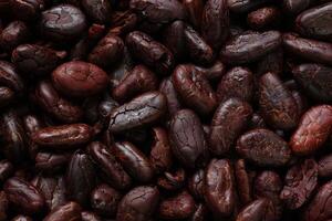 Brown roasted cocoa beans seeds pattern texture background photo